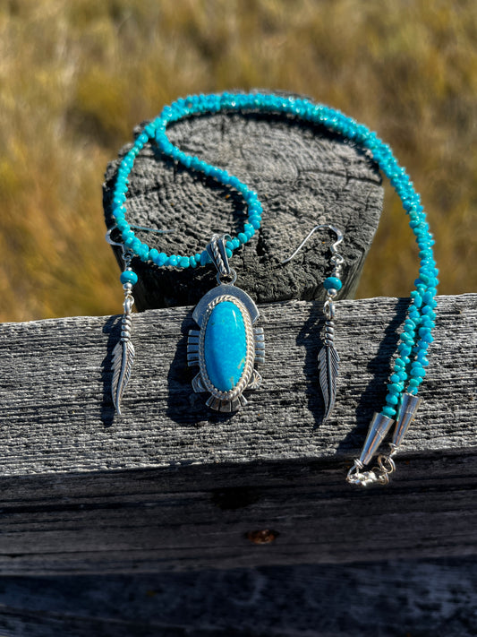 Tuquoise Earrings & Necklace - Oval